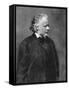 Daumier Photo-null-Framed Stretched Canvas