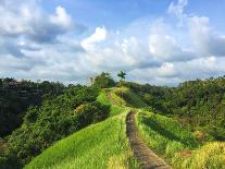 Idyllic Walking Path on Top of Green Hills. Tropical Nature Scene. Narrow Path in Rice Fields. Exot-Davdeka-Framed Photographic Print