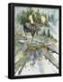 Essential Black