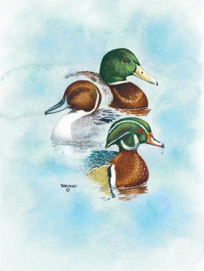Art Print, , large