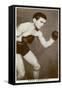Dave Crowley, British Boxer, 1938-null-Framed Stretched Canvas