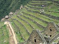 Terraced Fields at Machu Picchu-Dave G. Houser-Framed Stretched Canvas