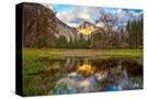 Stretched Canvas