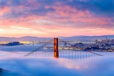 San Francisco Holiday Lights-Dave Gordon-Stretched Canvas