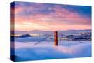 Stretched Canvas