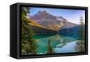 Canvas Black