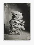 Mackerel in a Water Glass-Dave King-Photographic Print