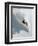 Dave Richards Skiing in Deep Powder Snow-Lee Cohen-Framed Premium Photographic Print