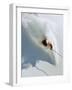 Dave Richards Skiing in Deep Powder Snow-Lee Cohen-Framed Premium Photographic Print