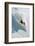 Dave Richards Skiing in Deep Powder Snow-Lee Cohen-Framed Photographic Print