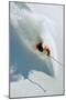 Dave Richards Skiing in Deep Powder Snow-Lee Cohen-Mounted Photographic Print