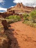 Fremont River, Capitol Reef National Park, Utah, Usa-Dave Welling-Photographic Print