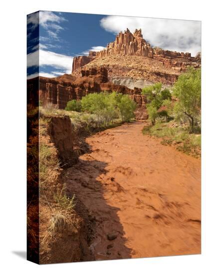 Stretched Canvas Print, , large