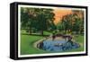 Davenport, Iowa, Vanderveer Park View of the Lagoon-Lantern Press-Framed Stretched Canvas