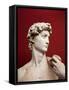 David, 1501-04-Michelangelo Buonarroti-Framed Stretched Canvas