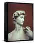 David, 1501-04-Michelangelo Buonarroti-Framed Stretched Canvas