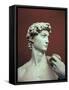 David, 1501-04-Michelangelo Buonarroti-Framed Stretched Canvas