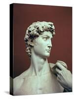 David, 1501-04-Michelangelo Buonarroti-Stretched Canvas