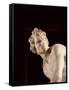 David, 1623-24-Giovanni Lorenzo Bernini-Framed Stretched Canvas