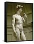 David, 3/4 Profile-Michelangelo Buonarroti-Framed Stretched Canvas