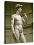 David, 3/4 Profile-Michelangelo Buonarroti-Stretched Canvas