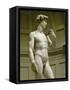 David, 3/4 Profile-Michelangelo Buonarroti-Framed Stretched Canvas