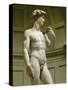 David, 3/4 Profile-Michelangelo Buonarroti-Stretched Canvas