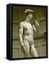 David, 3/4 Profile-Michelangelo Buonarroti-Framed Stretched Canvas