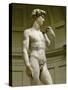 David, 3/4 Profile-Michelangelo Buonarroti-Stretched Canvas