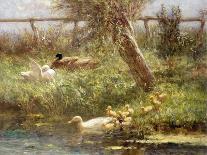 Ducks on a Riverbank-David Adolph Constant Artz-Stretched Canvas