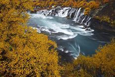 Birch tree, next to waterfall, Iceland-David Allemand-Photographic Print