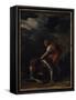 David and Goliath-Salvator Rosa-Framed Stretched Canvas