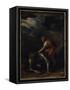 David and Goliath-Salvator Rosa-Framed Stretched Canvas