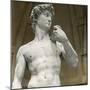 David (Around 1010-970 BC), King of Israel-Leon, Levy et Fils-Mounted Photographic Print