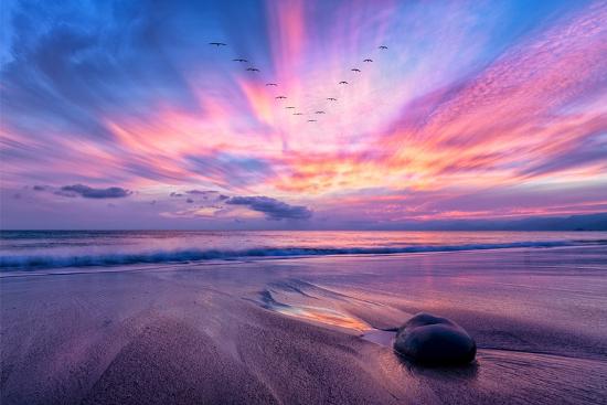 Premium Photographic Print, , large