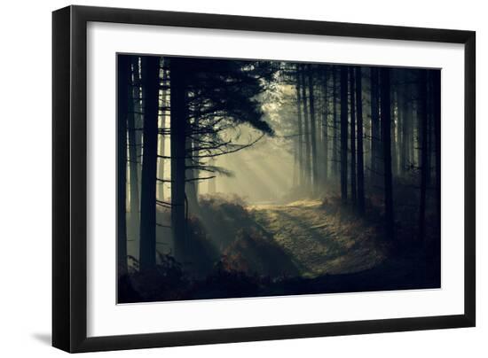 Premium Photographic Print, , large