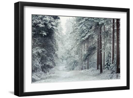 Premium Photographic Print, , large