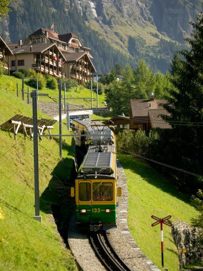 Photographic Print, , large