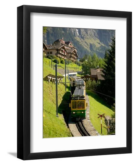 Premium Photographic Print, , large