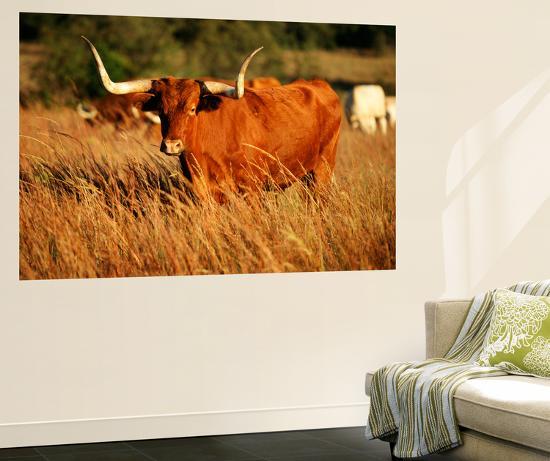 Giant Art Print, , large