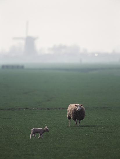 Premium Photographic Print, , large