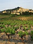 View of Corbieres Vineyard, Darban-Corbieres, Aude, Languedoc, France-David Barnes-Photographic Print