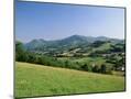 Wood Mount