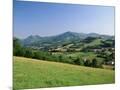 Wood Mount