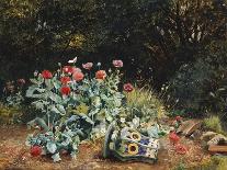 Summer Flowers in a Quiet Corner of a Garden, 1882-David Bates-Giclee Print