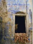 Drying Coffee, Kaffa, Ethiopia, Africa-David Beatty-Stretched Canvas