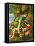 David beheading Goliath-Michiel I Coxie-Framed Stretched Canvas