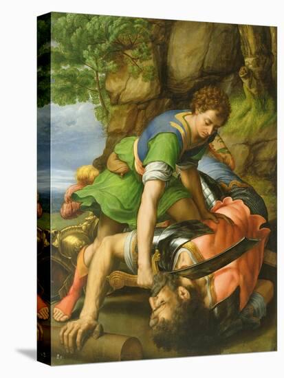 David beheading Goliath-Michiel I Coxie-Stretched Canvas