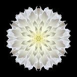 Kaleidoscope Peach Dahlia-David Bookbinder-Stretched Canvas