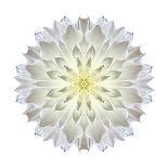 Kaleidoscope Rose-David Bookbinder-Art Print